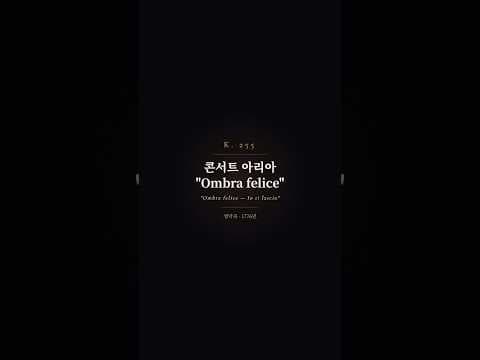 하이라이트 영상