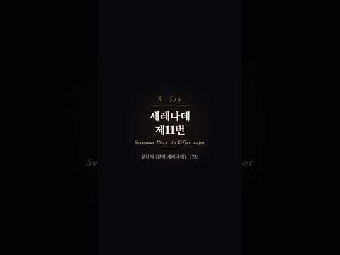 하이라이트 영상