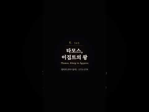 하이라이트 영상