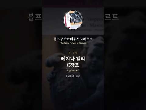 하이라이트 영상