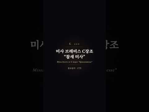 하이라이트 영상