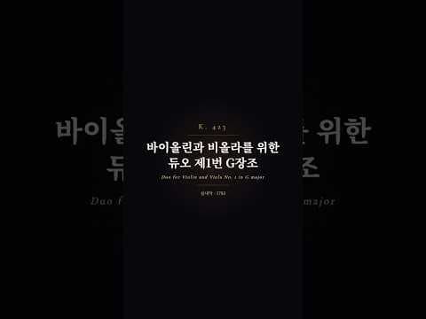 하이라이트 영상