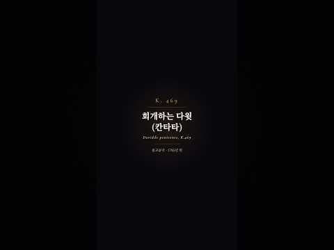 하이라이트 영상