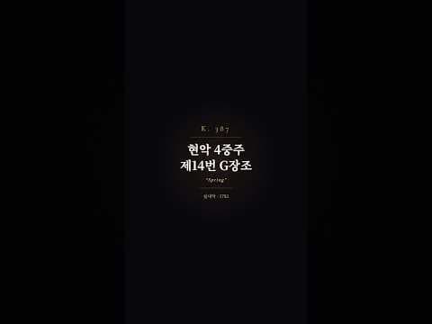 하이라이트 영상
