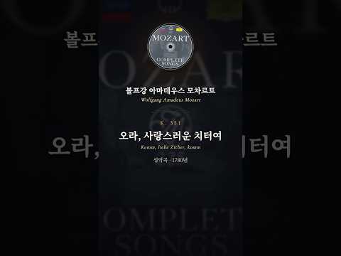 하이라이트 영상