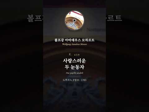 하이라이트 영상